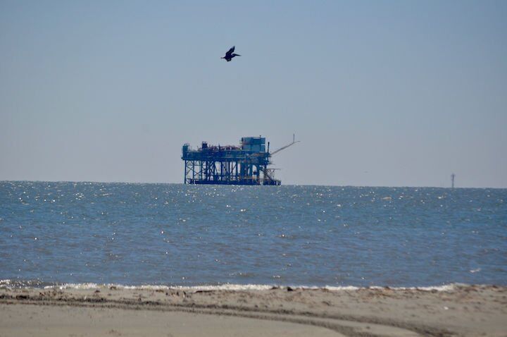 Oil platform and pelican